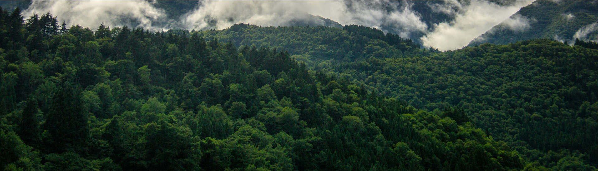 社會(huì)責(zé)任