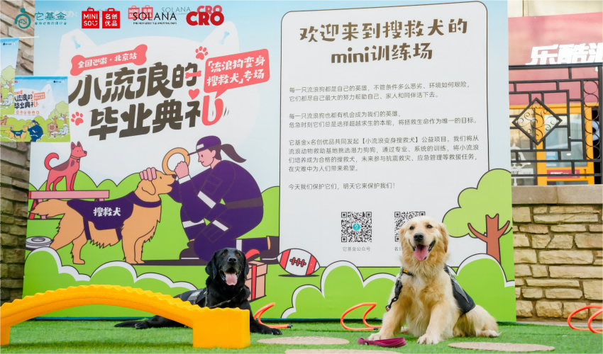 名創(chuàng)優(yōu)品推出國內(nèi)首例
“流浪狗變身搜救犬”公益項目