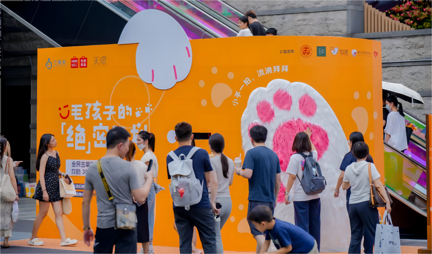 388只流浪動物將被救助！名創(chuàng)優(yōu)品攜手它基金發(fā)起TNR絕育公益活動